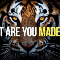 WHAT ARE YOU MADE OF? - New Motivational Speech | POSTIVE MORNING MOTIVATION 2021