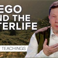 Is Life After Death an Egoic Concept? | Eckhart Tolle Teachings