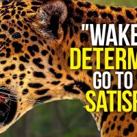 WAKE UP DETERMINED & START THE DAY - Motivational Video Compilation - 30 Minute Morning Motivation