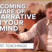 Becoming Aware of the Mental-Emotional Conditioning of the Mind | Eckhart Tolle Teachings