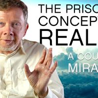 Break Free From Conceptual Reality | Eckhart Tolle