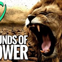 ENTIRE ALBUM 1 HOUR+ Truly EPIC Instrumental Music - Sounds of Power 8