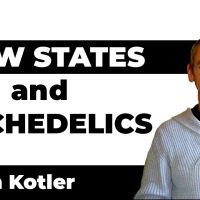 FLOW STATES and PSYCHEDELICS - Steven Kotler