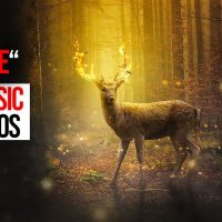FREE EPIC MUSIC "Animale" No Copyright Music - Royalty Free To Use