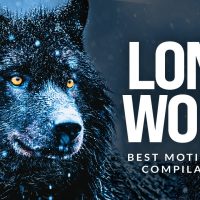 LONE WOLF - Best Motivational Speech Compilation For Those Who Walk Alone