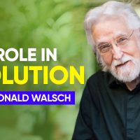 Our Role In Evolution | Neale Donald Walsch