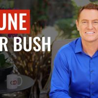 Prune Your Bush