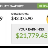 Advanced affiliate marketing secrets: how I made $21,779.45 with just 481 clicks to my link