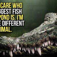 BIGGEST FISH IN THE POND - New Motivational Video Compilation