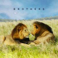 Brothers - Epic Background Music - Sounds Of Power 6