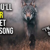 If you're going through hell: LISTEN TO THIS SONG ? AND KEEP GOING! (Not For Dinner Official LYRICS)