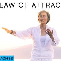 Manifestation & the Law of Attraction