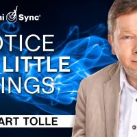 Notice the Little Things | A Special Meditation with Eckhart Tolle (Binaural Audio)