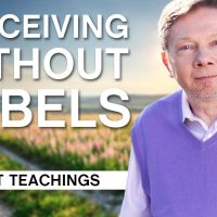 Perceiving Without Labels | Eckhart Tolle Teachings