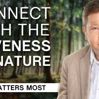 School of Awakening: How to Connect with the Aliveness of Nature (Part 1)