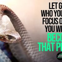 Shed Your Skin Like A Snake - Must Watch Motivational Video for 2019 » December 2, 2023 » Shed Your Skin Like A Snake - Must Watch Motivational