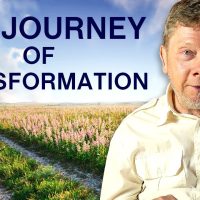 The Journey of Transformation | Eckhart Tolle