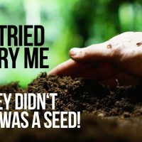 They Tried To Bury Me... But They Didn't Know I Was A SEED!