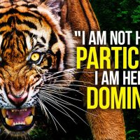 WAKE UP DETERMINED & DOMINATE THE DAY - New Motivational Video Compilation