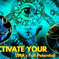 You have 14 generations of memories within your DNA ?