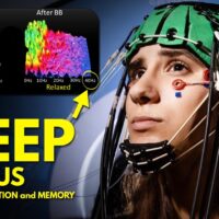 HACK YOUR BRAIN WITH 40 Hz frequency