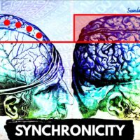 The LAW OF ATTRACTION at the Highest Synchronicity