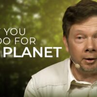 What You Can Do about Climate Change | Eckhart Tolle on the Current Ecological Situation