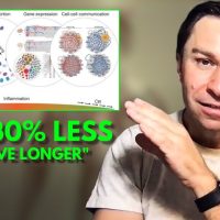 Dr. David Sinclair: "DO THIS DAILY To Increase Your Lifespan and REVERSE AGING!"