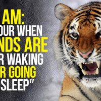 WAKE UP AND CONQUER YOUR DAY - New Motivational Video Compilation - 30-Minute Morning Motivation » October 3, 2023 » WAKE UP AND CONQUER YOUR DAY - New Motivational Video