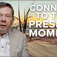 Taking a Moment to Be Present | Eckhart Tolle Rebroadcast of Live Q&A » August 18, 2022 » Taking a Moment to Be Present | Eckhart Tolle Rebroadcast