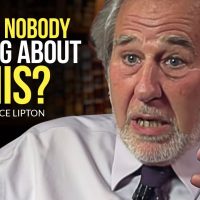 Dr. Bruce Lipton - One of the Most Eye Opening Interviews Ever!!! STRESS IS KILLING YOU!
