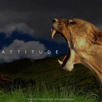 Lion Attitude - Epic Background Music - Sounds Of Power 3