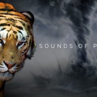One Hour Of The Most Powerful Epic Background Music For Videos - Sounds of Power 2
