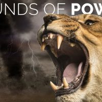 Sounds of Power - The Most Powerful Epic Background Music For Videos