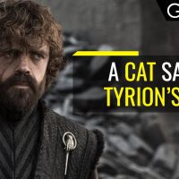 The Cat That Changed Peter Dinklage's Life | Inspiring Life Story | Goalcast