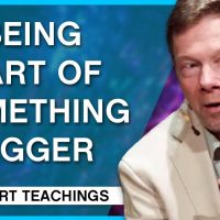How Important is Our Personal Life? Eckhart Tolle Teachings