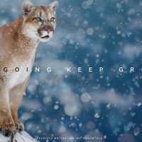 Keep Going Keep Growing - Epic Background Music - Sounds Of Power 3