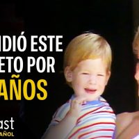¿Qué Aprendió El Príncipe Harry De La Muerte De Diana? | Historias De Vida | Goalcast Español