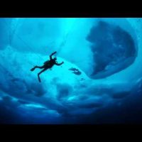 Tales of ice-bound wonderlands | Paul Nicklen