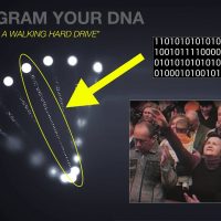 "1 Gram of Your DNA Can Store 700 Terabytes of Data" (this is how to REPROGRAM your DNA"