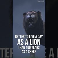 Better to spend ONE DAY as a LION than 1000 as a SHEEP!