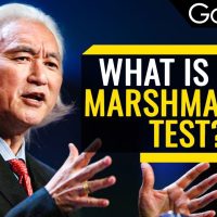 How Marshmallows Predict Your Success | Michio Kaku | Goalcast