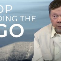 Is There Always Something Wrong in Your Life? This Might Be Why! | Eckhart Tolle