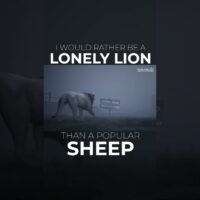 I would rather be a LONELY LION than a popular SHEEP » October 3, 2023 » I would rather be a LONELY LION than a popular